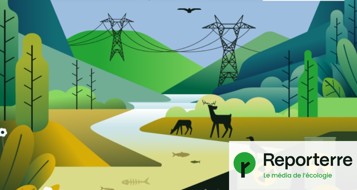 L’écologie se dégrade : les provocations de Reporterre