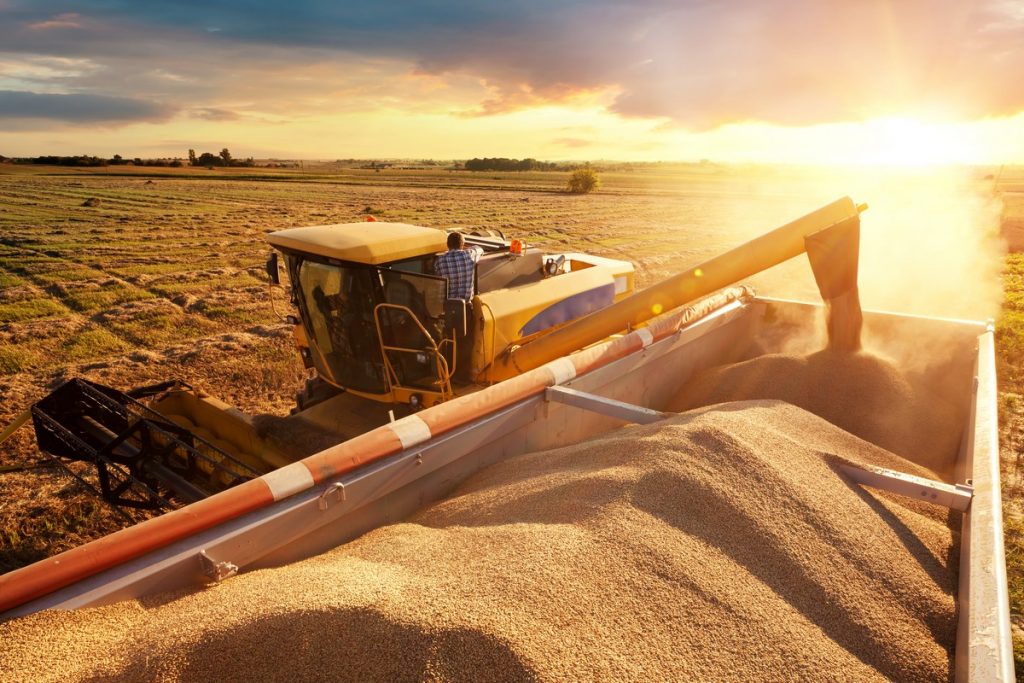 La crise agricole ukrainienne et les lobbies étrangers